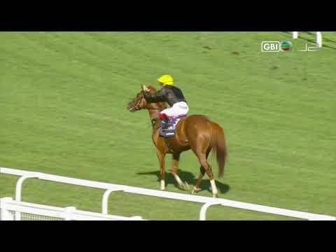 2018 Qipco British Champions Long Distance Cup G2 - Stradivarius (弦樂器) - L.Dettori