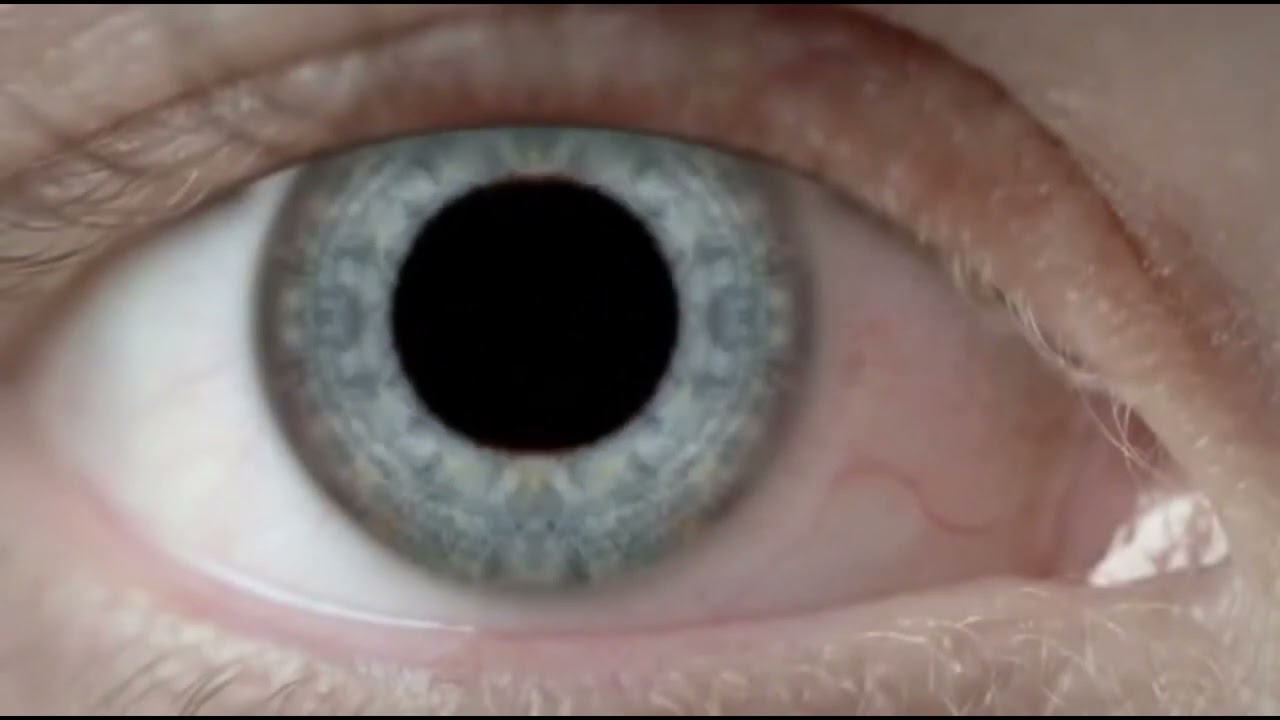 What Makes Mantis Different from Other Inspection Microscopes?