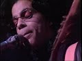 PRINCE LIVE AT PAISLEY PARK 12 31 87