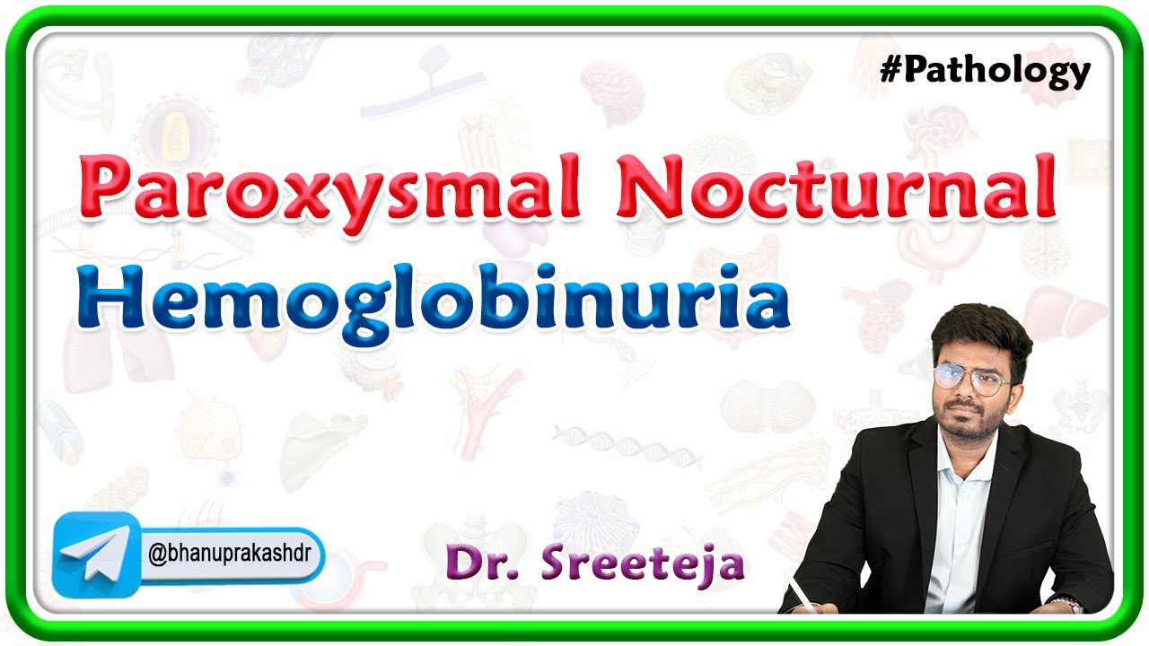 7. Paroxysmal Nocturnal Hemoglobinuria (PNH) | USMLE Step 1 Pathology