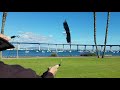 Rev Eagle Master Level Soaring Skills Part 4 Snap Spin To Soar