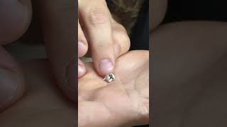 EGG HATCHES IN MY HANDS!