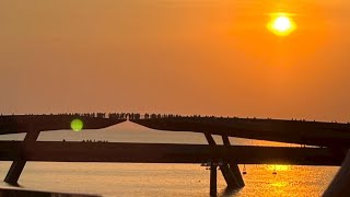 次回予告🇻🇳 年越しフーコック旅