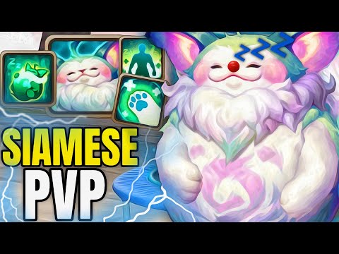 HYPNOMEOW SIAMESE PVP - Summoners War