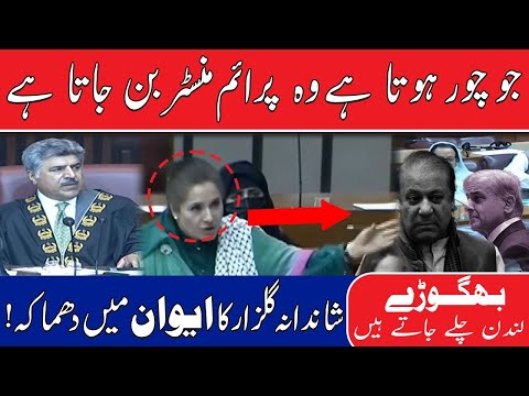 جو چور ہوتا ہے وہ پرائم منسٹر بن جاتا ہے، شاندانہ گلزار