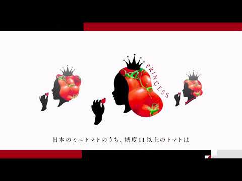 OSMIC FIRST　CM　【贅沢篇】