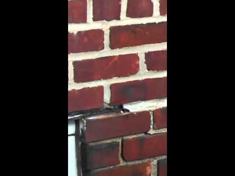 Bees in a Commercial Building in Cliffside Park, NJ