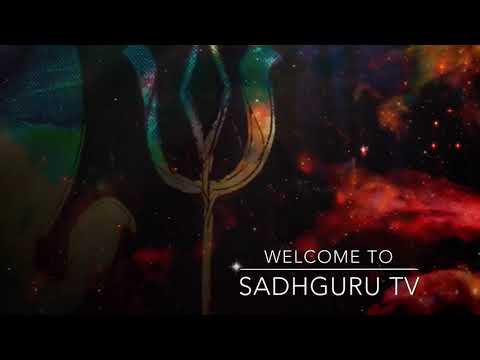 Youth And Truth Glimpses | A Month Unplugged |