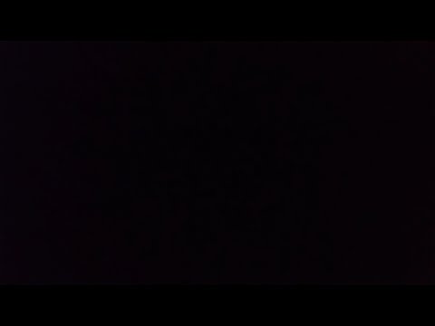 Got Cha: Malena Perez