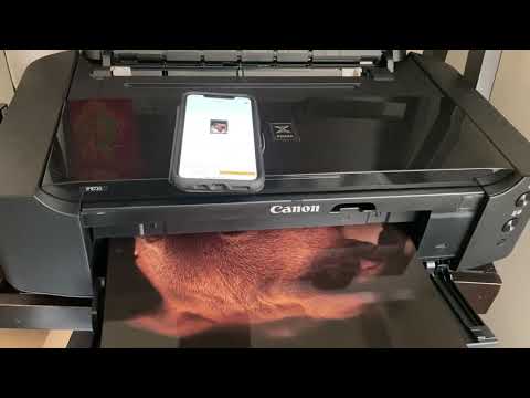 CANON MP-101 fotopopierius A3 40Blatt video