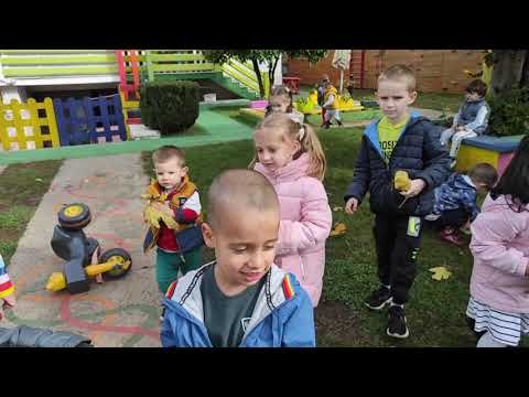 Tiho, tiho pada, list za listom žut.