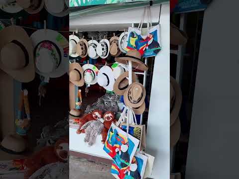 Thumbnail for Carnival Jubilee Roatan Honduras #yeseniacavazosrealtor #carnivaljubilee #diversion #paratii