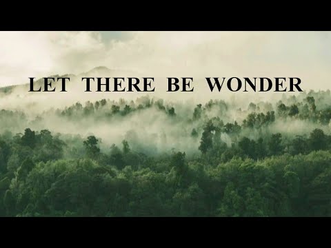 Cory Voss & Madison Street Worship - Let There Be Wonder (Lyric Video)