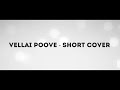 Vellai Poove Short Cover Creditz Hello Kadhal Vishnu Shyam Muzik247 Burnout Soul