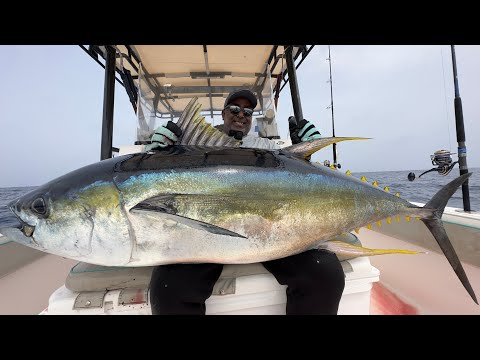 Yellowfin Tuna Extreem Fight Muscat Oman #yellowfin #fishing #yellowfintuna #bigtuna #tuna