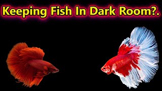 மீனிற்கு Light மிகவும் அவசியம்.. can we keep fish in dark room without light / Fish Aquarium Tamil