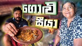 Download lagu මහා වැස්සේම සීයාගේ වාඩියට | උණු පොල් රොටි | කුකුල් මස් හිදෙන්න | 😍❤️| @travelwithsidney | Vlog 57 mp3