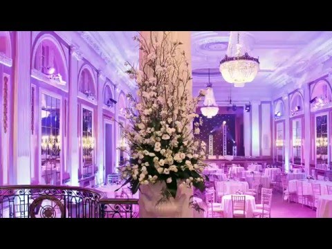 Timelapse video of garden urn pedestals - featuring Van de Lugt lisianthus -