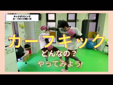 今話題の？カーフキックって？カーフキックのやり方＆ディフェンスを考えてみた～　-総合格闘家と武術家-