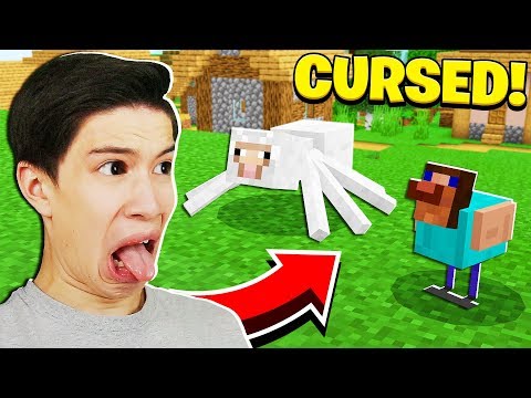 cursed minecraft images that will make you cry...