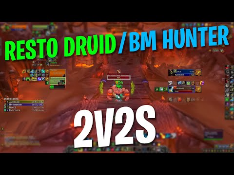 Resto Druid / BM Hunter 2v2 Arenas
