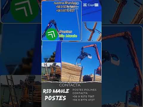 POSTES 3,4,5,6,7,8 METROS #polines #postes #maderas #talca #viral #video