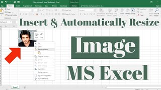 How to Insert and Automatically Resize an Image in Microsoft Excel | Adjust Image inside Excel Cell