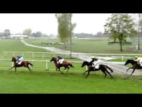 2015.10.18 Critérium der Zweijährigen (SWI) - Ma Petite Folie