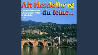 Kadr z teledysku Heidelberg, du Jugendbronnen tekst piosenki German Folk