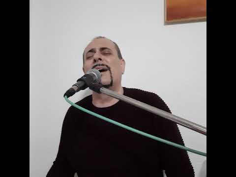 Два галеба бела - Павле Витанов