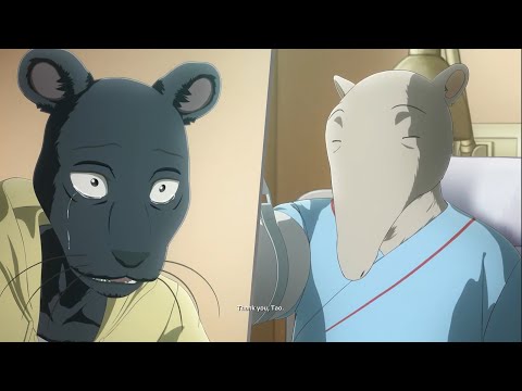 Tao visits Kibi in the Hospital!! ( Beastars Season 2 - English Dub )