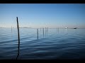 De drie-provinciepunten van Flevoland