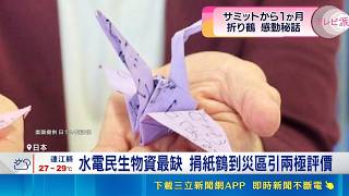 祝福? 累贅? 熊本震後"送紙鶴到災區"掀論戰  水電民生物資最缺 捐紙鶴到災區引兩極評價｜三立新聞LIVE