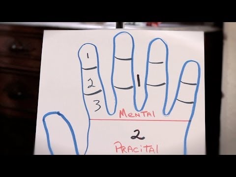 How to Read a Finger's 3 Sections | Palm Reading