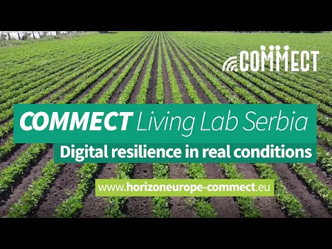 COMMECT LL in Serbia