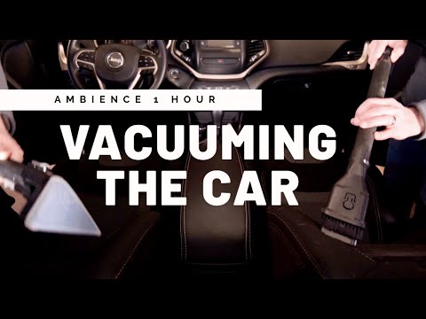 Vacuuming the Car 1 Hour Shop Vac and Hoover SmartWash