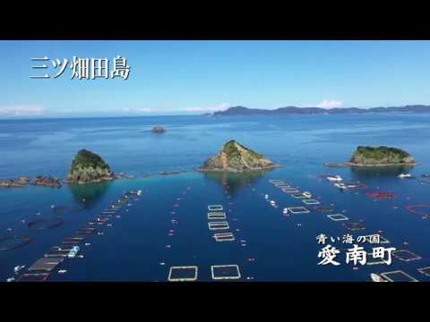 青い海の国 愛南町「三ツ畑田島」
