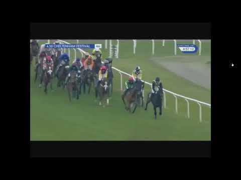 2016 146th Year Of The National Hunt Chase - Cheltenham Festival