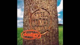 Dodgy - You've Gotta Look Up