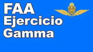 FAA: Ejercicio Gamma