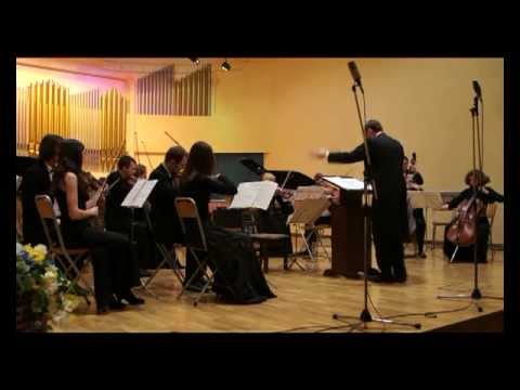 Любовь Терская - "Вместо слов" для струнного оркестра