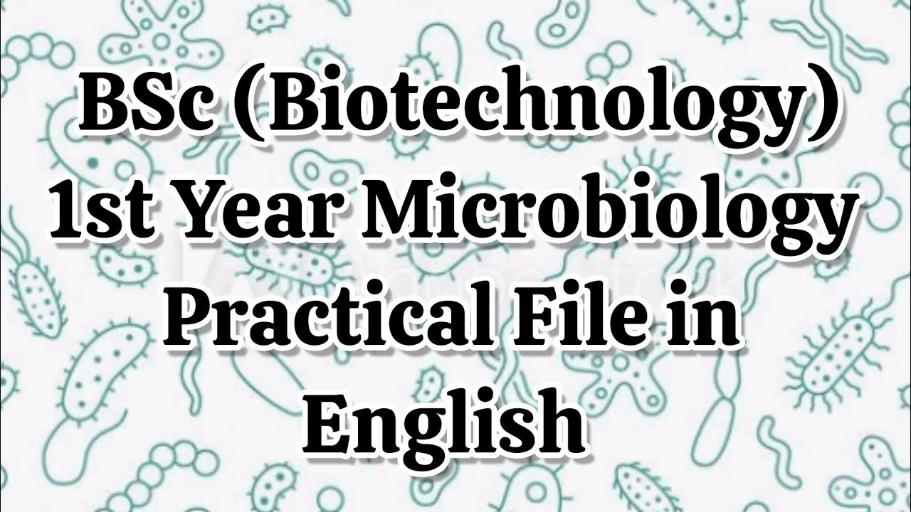 BSc(Biotechnology) 1st Year Microbiology Practical File || In English || 2023