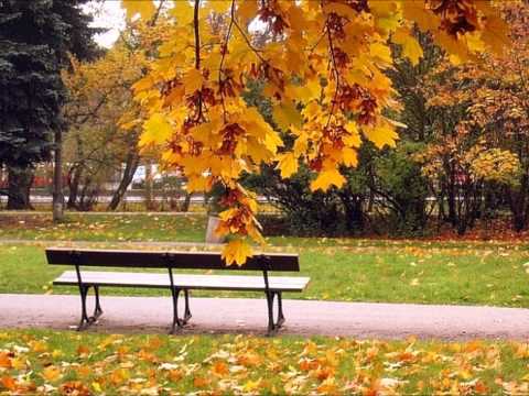 Лайма Вайкуле Листья жёлтые