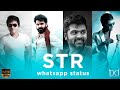 STR Whatsapp Status Tamil Simbu Mass Whatsaap Status Tamil Simbu Comeback Status Maanadu Bgm