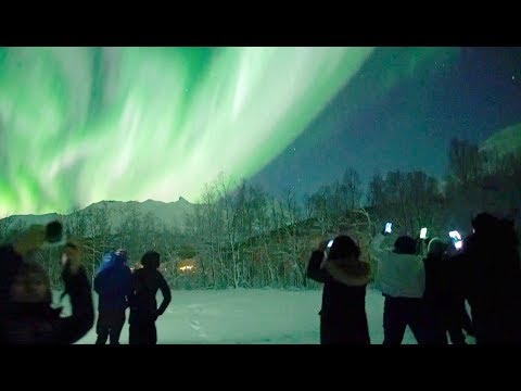 🇳🇴Chasing Lights in Tromsø, Norway