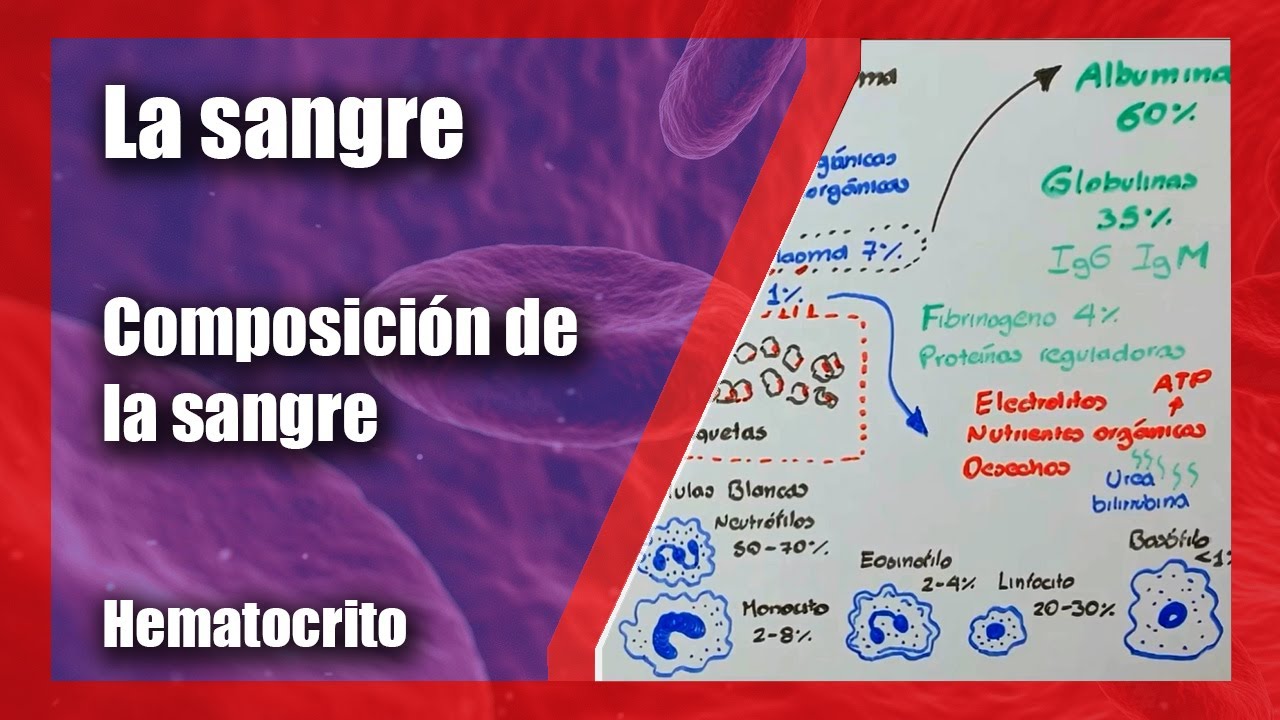 La sangre | Composición de la sangre | Hematocrito | Biometría hemática