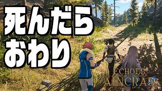 死んだらセーブデータが消える世界で冒険する『 Echoes of Aincrad 』