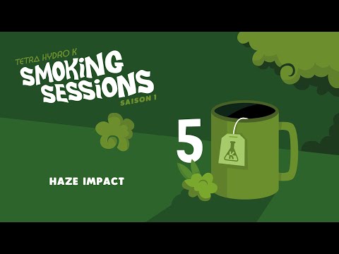 Tetra Hydro K - Haze Impact - Smoking Sessions #5
