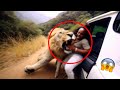 Damn Nature You Scary Rare Scary Animal Encounters 18