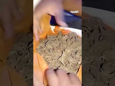 فيديو | شرطة بيرو تعتقل تاجر مخدرات بحيلة طريفة#الشرقية_نيوز
